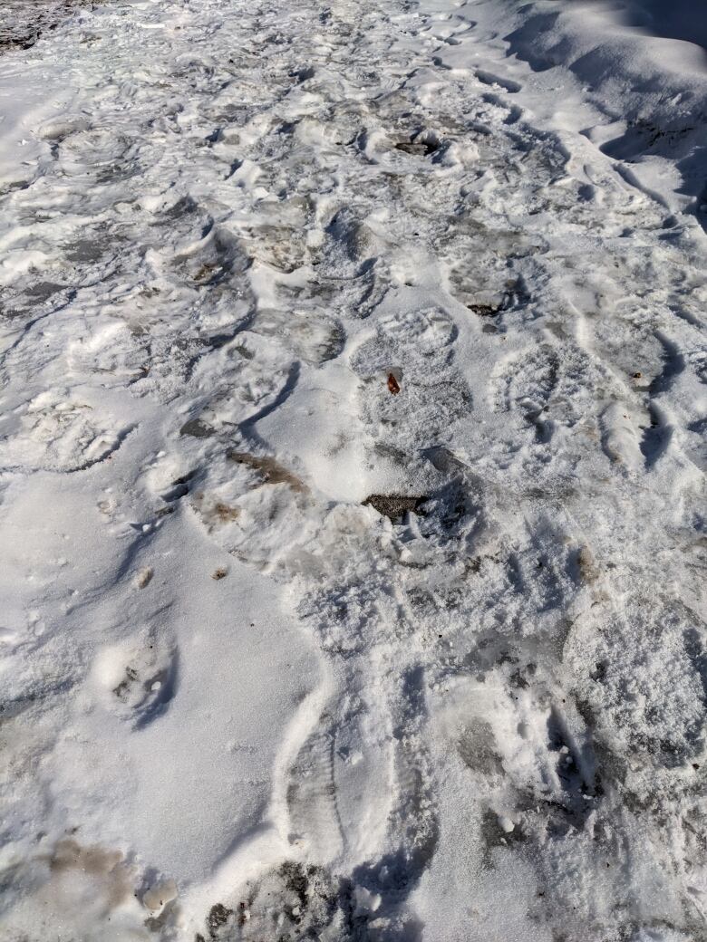 City urges progress, not perfection, when dealing with Windsor's icy