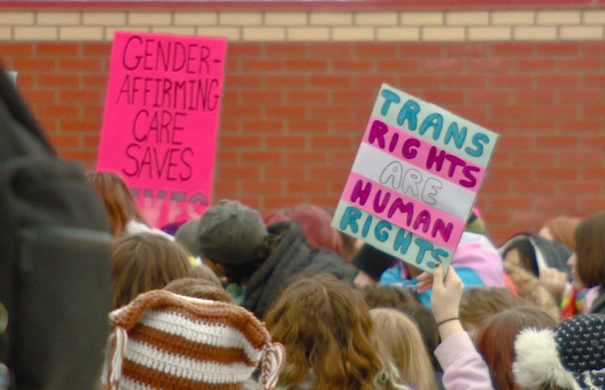 A crowd of students hold signs outside a red brick building.