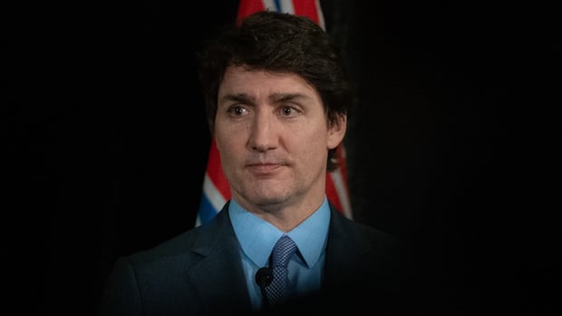 Trudeau takes a swipe at Poilievre over his stance on age verification for porn | CBC News