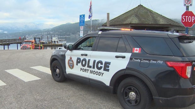 Police say naked man arrested after alleged assault on stranger in B.C.