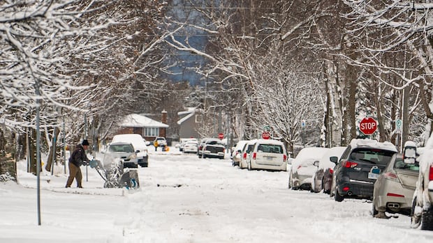 Winter storm watch in effect for Thunder Bay area