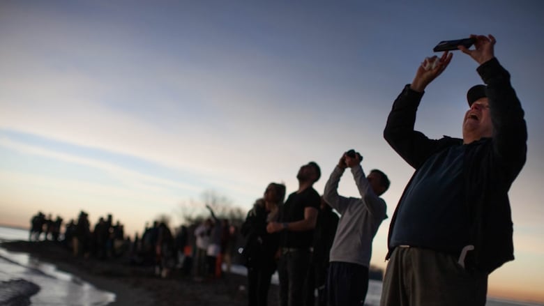 People look up at the sky with joy