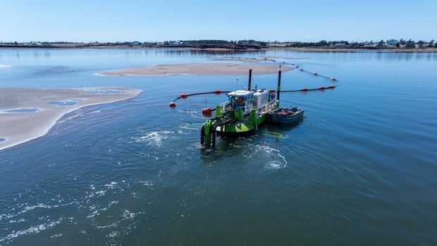 P.E.I. harbours need major dredging, not 'putting little bandages on it,' DFO is told