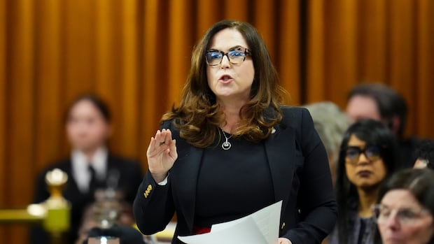 Federal addictions minister says B.C public decriminalization reversal under review | CBC News