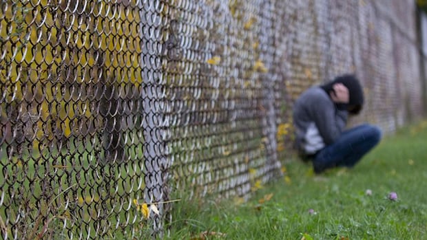 Teen girl beaten in White Oaks Park lead police to charge 2 other youth