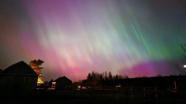 Northern lights paint spectacular picture in Nova Scotia sky; Northern lights in East Gore, N\.S\.