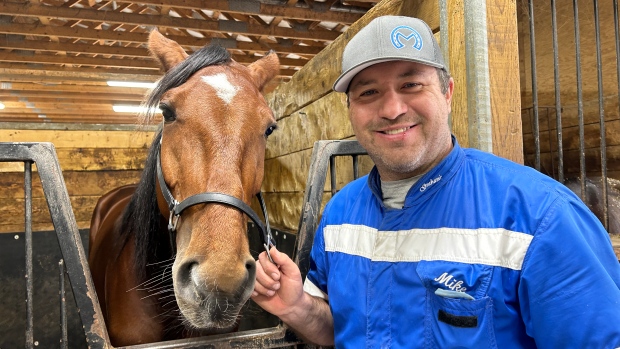 How one horse can leave its hoof print on the P.E.I. economy; Mike McGuigan