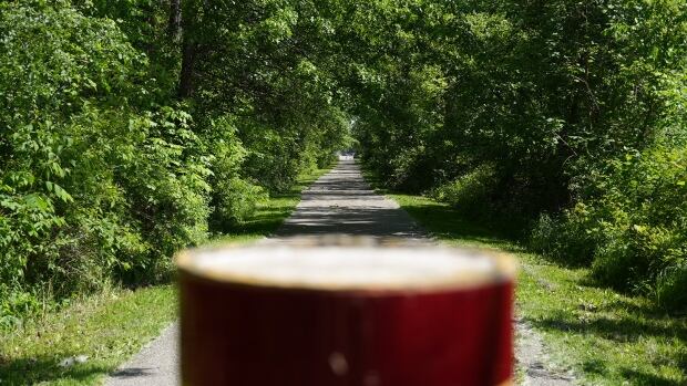 Windsor city council to consider trails for South Cameron woodlot