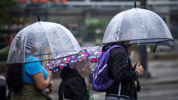 Rainfall records broken across southern B.C. over the weekend