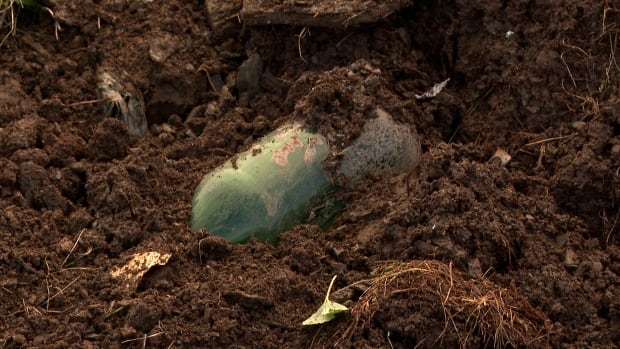 Parks Canada guts a 50-year-old dump in Gros Morne