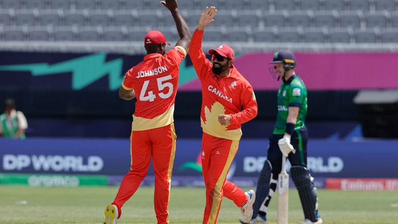 Two cricket players celebrate a win by high-fiving