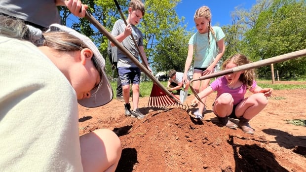 P.E.I. students dig into the past to create Mi'kmaw, Acadian and Scottish gardens