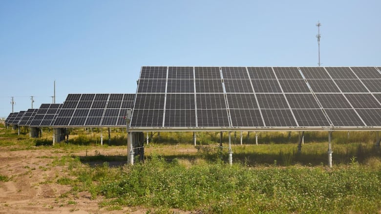 Shediac solar farm
