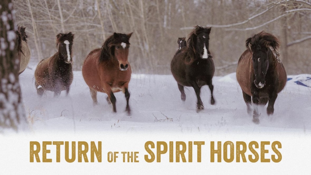 Return of the Spirit Horses