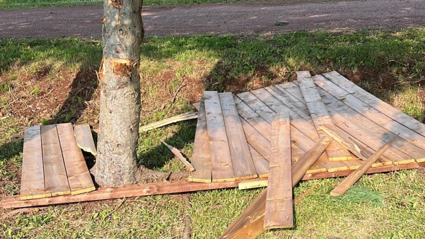 Powerful microburst causes 'really shocking' damage to western P.E.I. home; The Smiths' privacy wall flew off and hit this tree\.