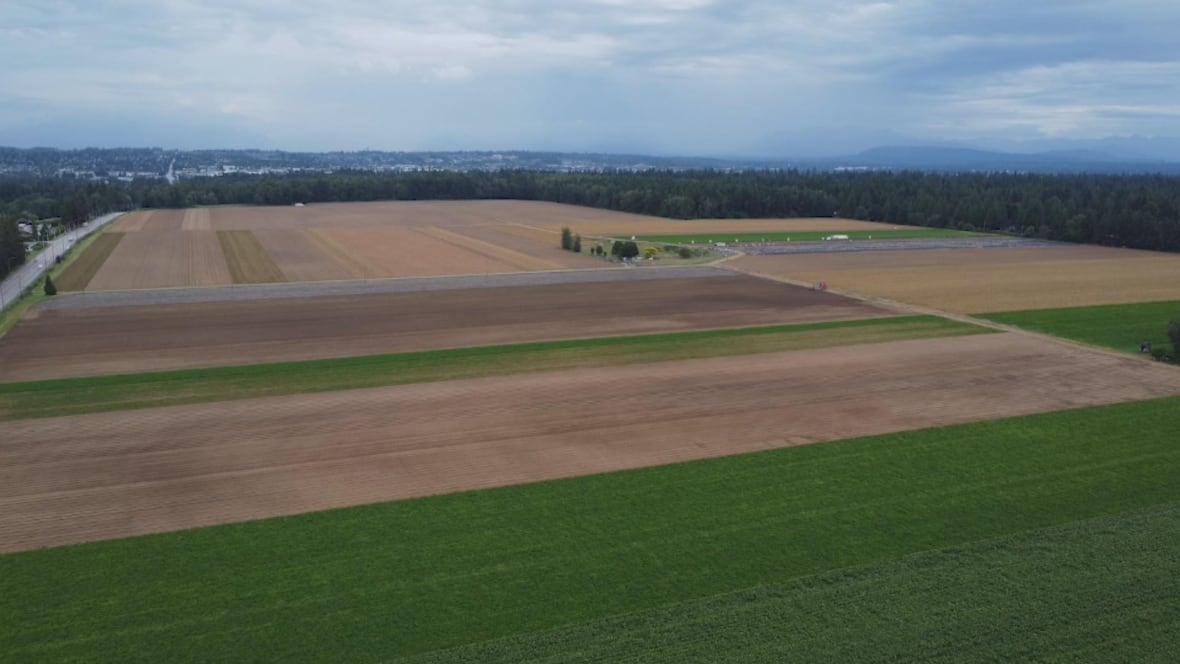 Drone footage of Crown land in Surrey, B.C.