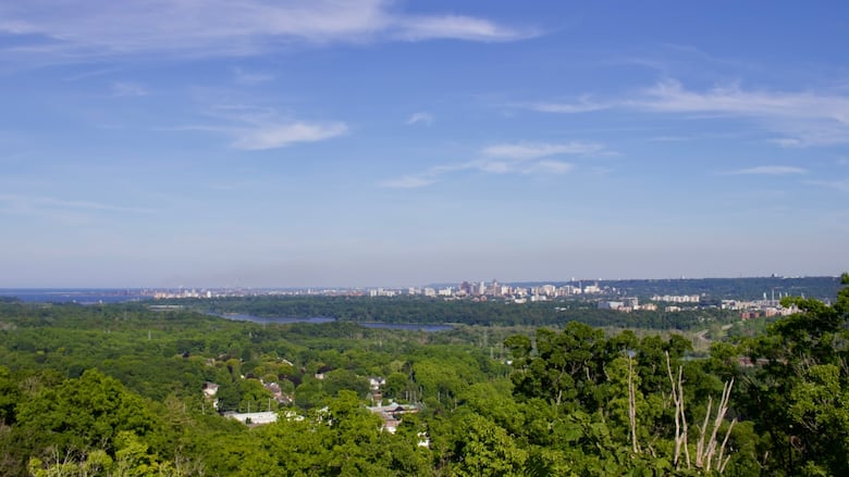 A tree-top view of a city and the neighbouring lake