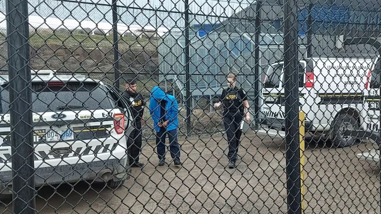 Man in handcuffs escorted into police vehicle.
