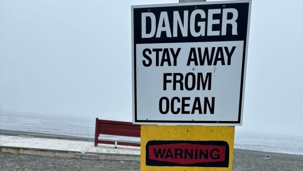 Whale watchers ignoring safety signs at 'very dangerous' beach, mayor says