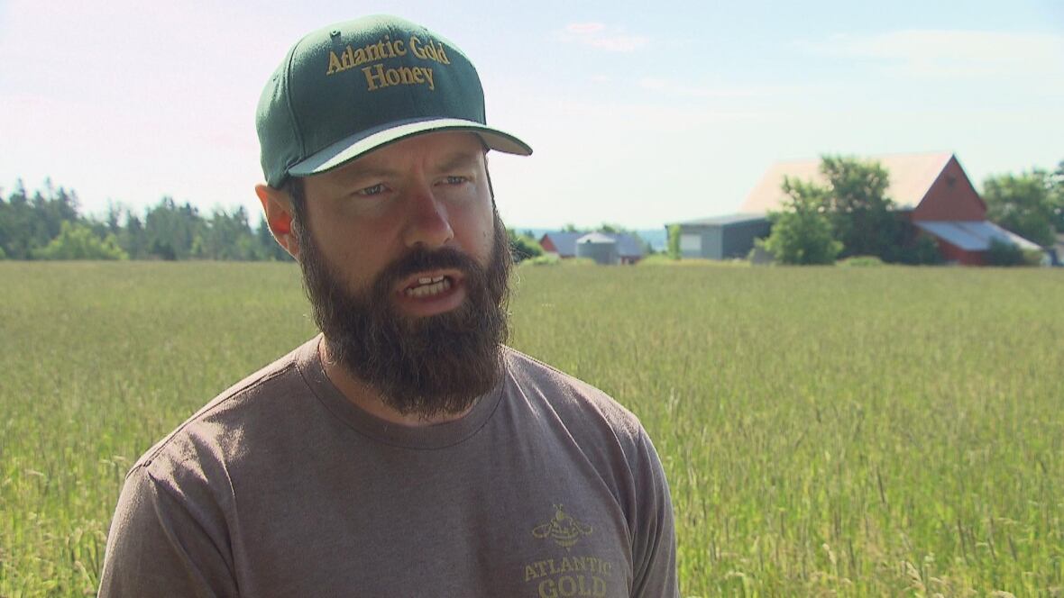 A man in a purple shirt and green baseball cap stands in front of a field of tall grass with a red barn in the background.