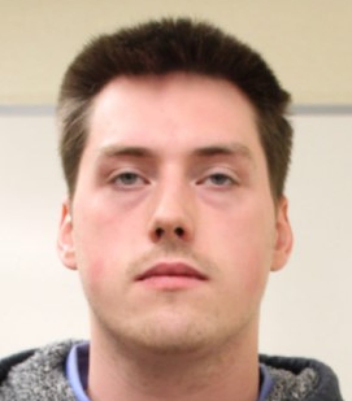 A white man with brown hair and light stubble has a neutral face. He is wearing a blue collared shirt and a grey hoodie.