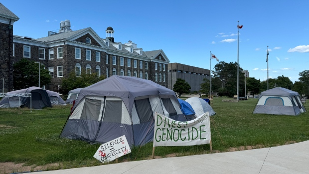 Dismay, frustration follow Dalhousie's update on pro-Palestinian encampment; Some of the tents at the pro-Palestinian encampment on Dalhousie's Studley Quad, with signs indicating their demands from Dalhousie administration\. 