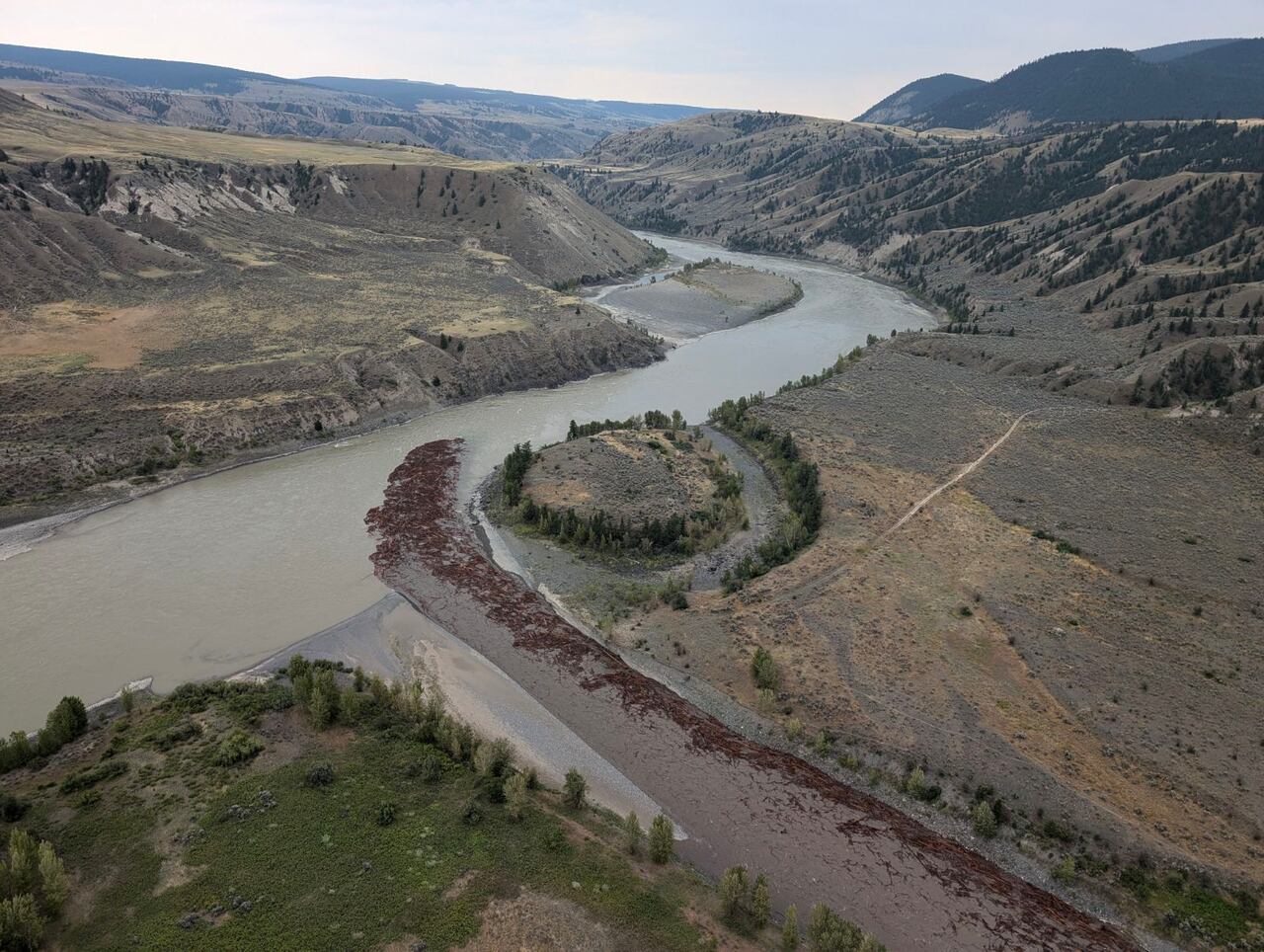 image of Chilcotin River Landslide: Ongoing Instability and Salmon Impact