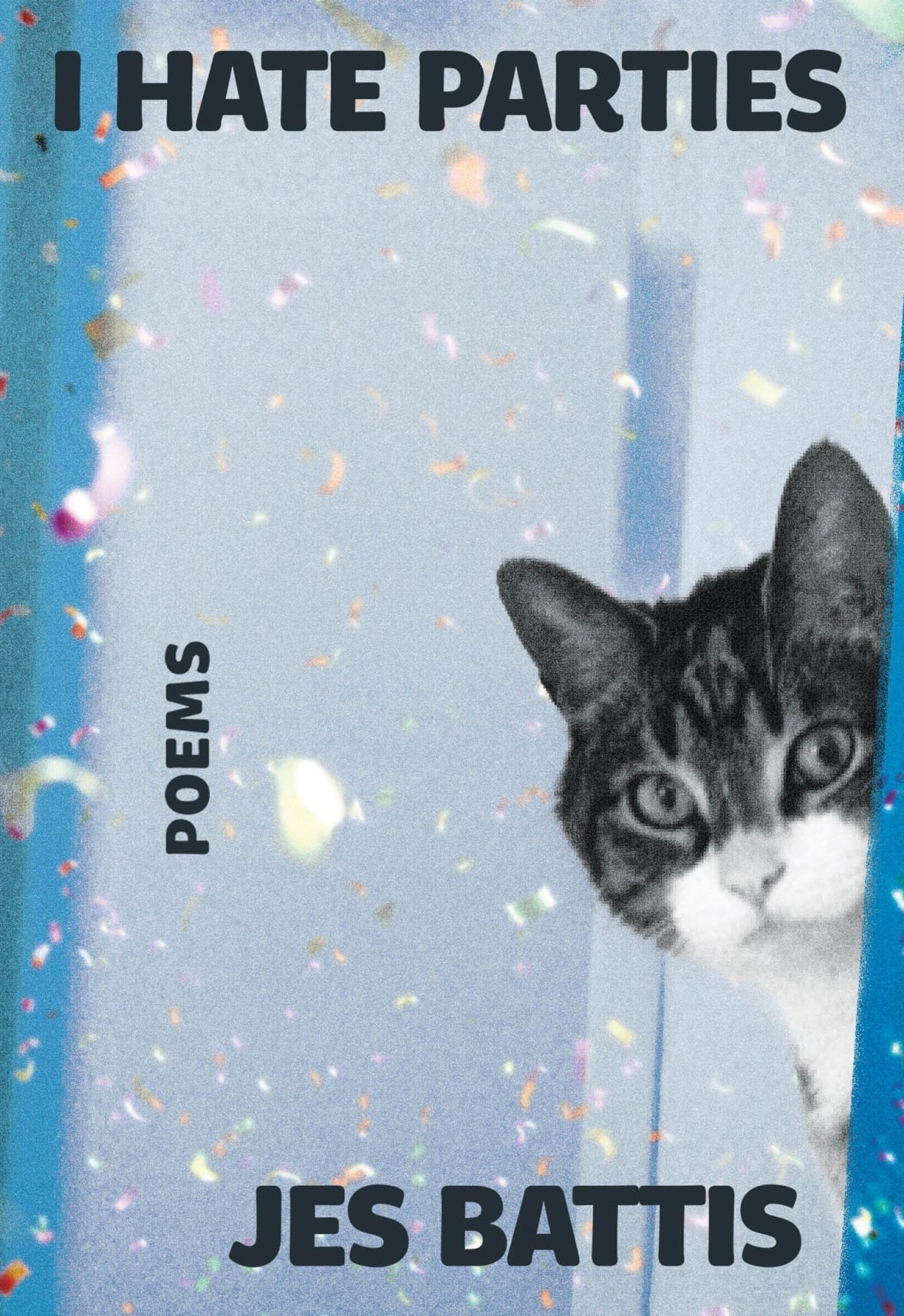 The book cover featuring a cat peeking through a door with confetti around it