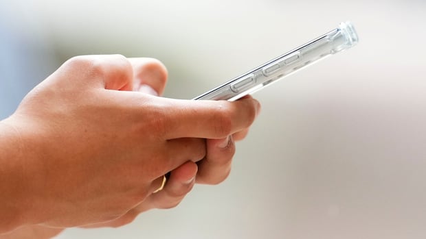 Panic attacks, depression, anxiety among reasons for uptick in calls to N.W.T.'s 811 health advice line