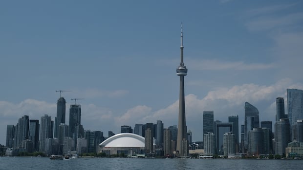 Michelle Murti appointed Toronto's new medical officer of health | CBC News