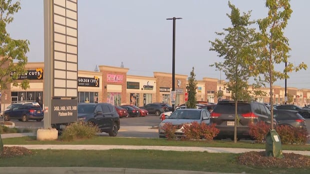 Mississauga gets court injunction to crack down on gatherings at Ridgeway Plaza | CBC News