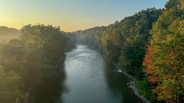 London environmentalists say Ontario's mining push puts endangered species at risk