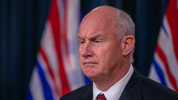 Minister concerned over B.C. Ferries' construction deal with Chinese shipyard