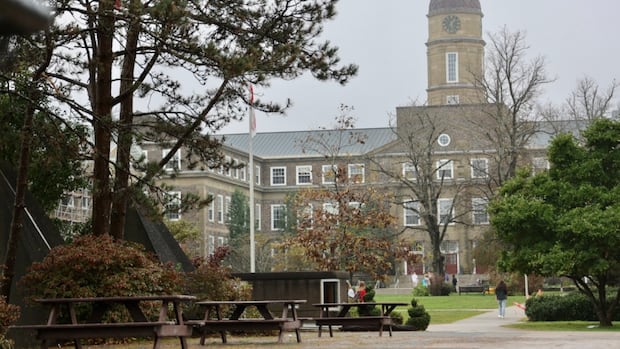 Students, parents feeling frustrated, uncertain amid Dal contract dispute | CBC News