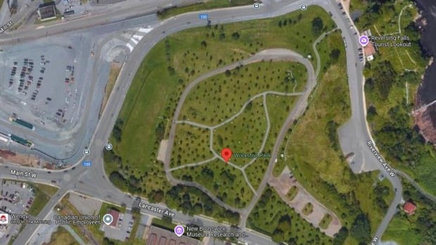 The property, located adjacent from the Irving Pulp & Paper Ltd. mill on the westside of the city, is owned by J.D. Irving and was turned into park space in 2004. Aerial map image of park.