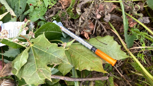 City crew picks up hundreds of needles, at least 2 knives in Winnipeg parks since program launch