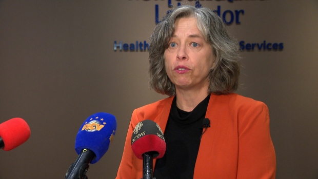 Save a loved one and get vaccinations for flu and COVID-19, Fitzgerald says; Dr\. Janice Fitzgerald, Newfoundland and Labrador's chief medical officer of health, says everyone has a part to play in limiting the spread of illness\.