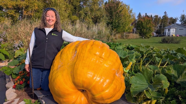 WATCH | Great gourds: P.E.I.'s giant pumpkin growers nervous before this year's weigh-off; There are some anxious days ahead for growers hoping to take home the title of P\.E\.I\.'s biggest pumpkin\. CBC's Nancy Russell checks in with some of them ahead of the Oct\. 12 weigh-off at Kool Breeze Farms in Summerside\.
