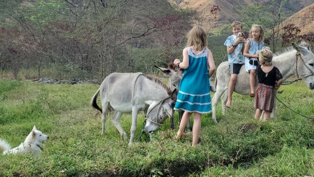 Why wait to retire? These Canadians are embracing the adult gap year instead; Melanie and Nick Thompson's children, Walter, Reyna, Penny and June, are seen playing with two donkeys and a dog near their temporary home in Ecuador\. The family's usual home base is Norfolk County in Ontario, but the couple are on a "mini retirement\." 