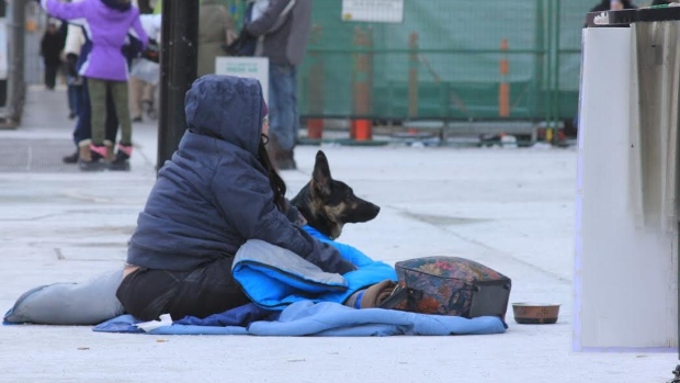 A 'staggering' 80,000 people and more were homeless in Ontario last year, new report finds; There have been calls to increase shelter space as homeless people continue to die on the streets of Toronto\. \(Michael Charles Cole/CBC\)