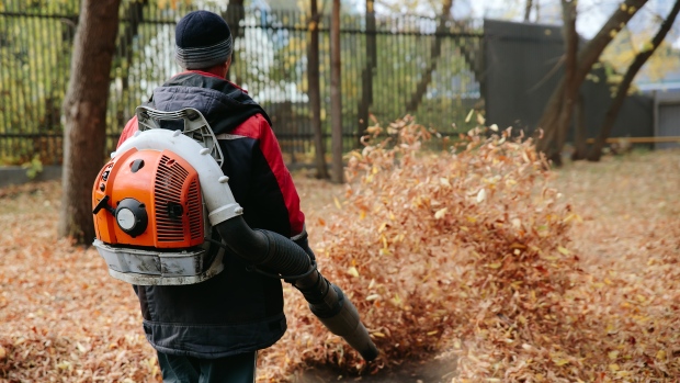 Gas-powered leaf blowers are noisy, polluting and harmful to our health. But are bans the best way to go?; Gas-powered leaf blowers with two-stroke engines are powerful emitters\. Running one for 30 minutes is equivalent to driving a Ford F-150 Raptor from Texas to Alaska, says environmental law professor Mark Nevitt\.  