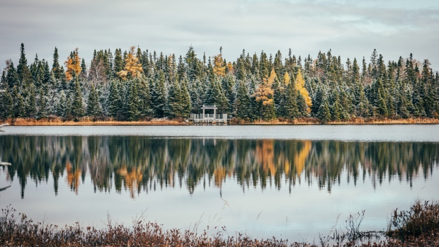 Frost is dusting the province in this week's gallery; Amanda Peyton says she loves how she was able to capture two seasons in one photograph with this frosty day in Gander\.