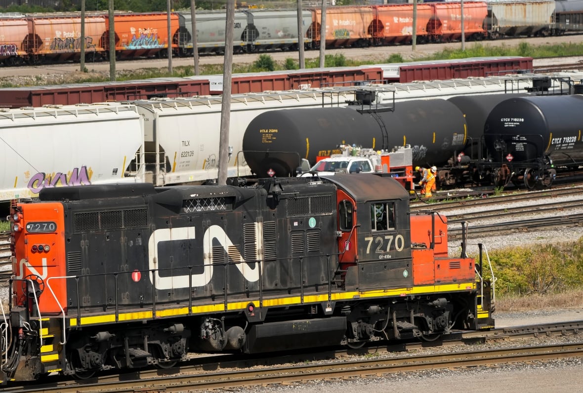 CN rail trains are shown at the CN MacMillan Yard in Vaughan, Ont., on June 20, 2022.