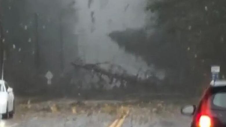 image of Tornado Strikes Sechelt, B.C. Causing Damage but No Injuries