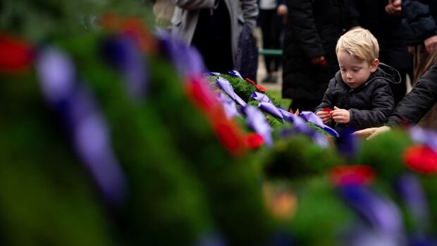 Remembrance Day ceremonies held throughout B.C.