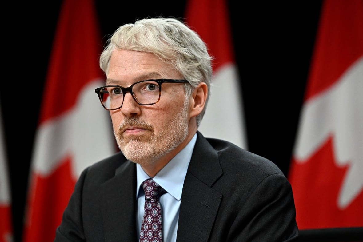 A man in a suit and tie sits in front of a row of Canadian flags.