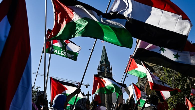 Flags of Palestine