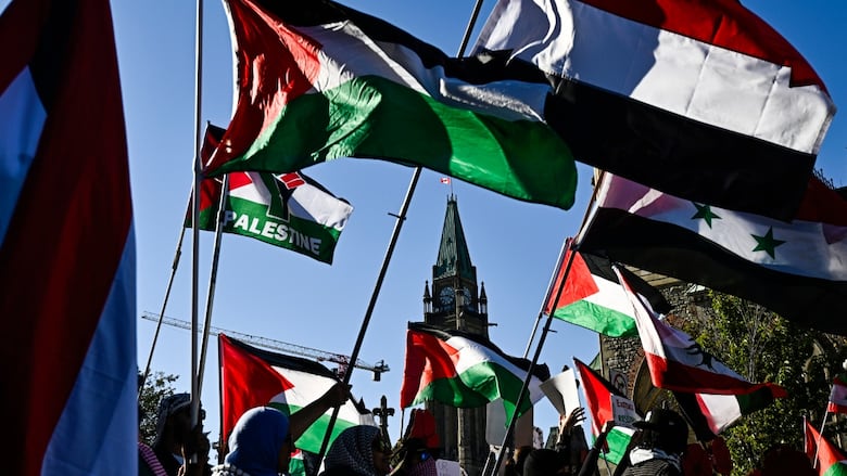 Flags of Palestine 