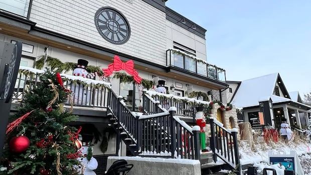 'Absolute make or break': Holidays are paramount for Calgary small businesses