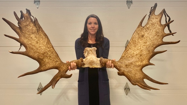 N.B. woman sets record for taking down giant bull moose with compound bow; According to the New Brunswick Big Game Club's record books, this is the largest set of antlers ever harvested in New Brunswick using a bow\.